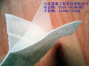 建通牌复合土工膜和膨润土防水毯都有不同的防渗效果 深圳酷易搜